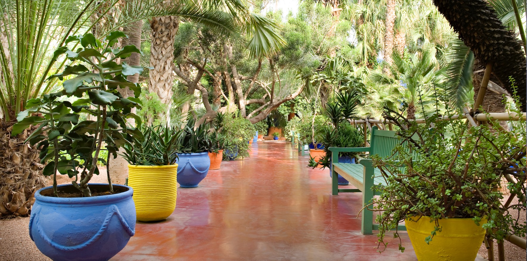 LE JARDIN MAJORELLE Suisse Première